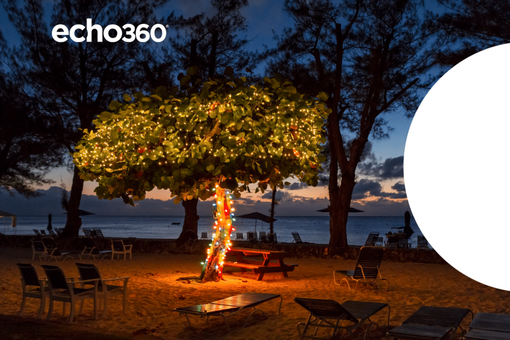 A tree with Christmas Lights at dusk on Seven Seas Beach in Grand Cayman.